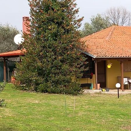 "Olympos House" Litochoro Exterior foto